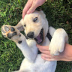 Meet your Posher, Madi